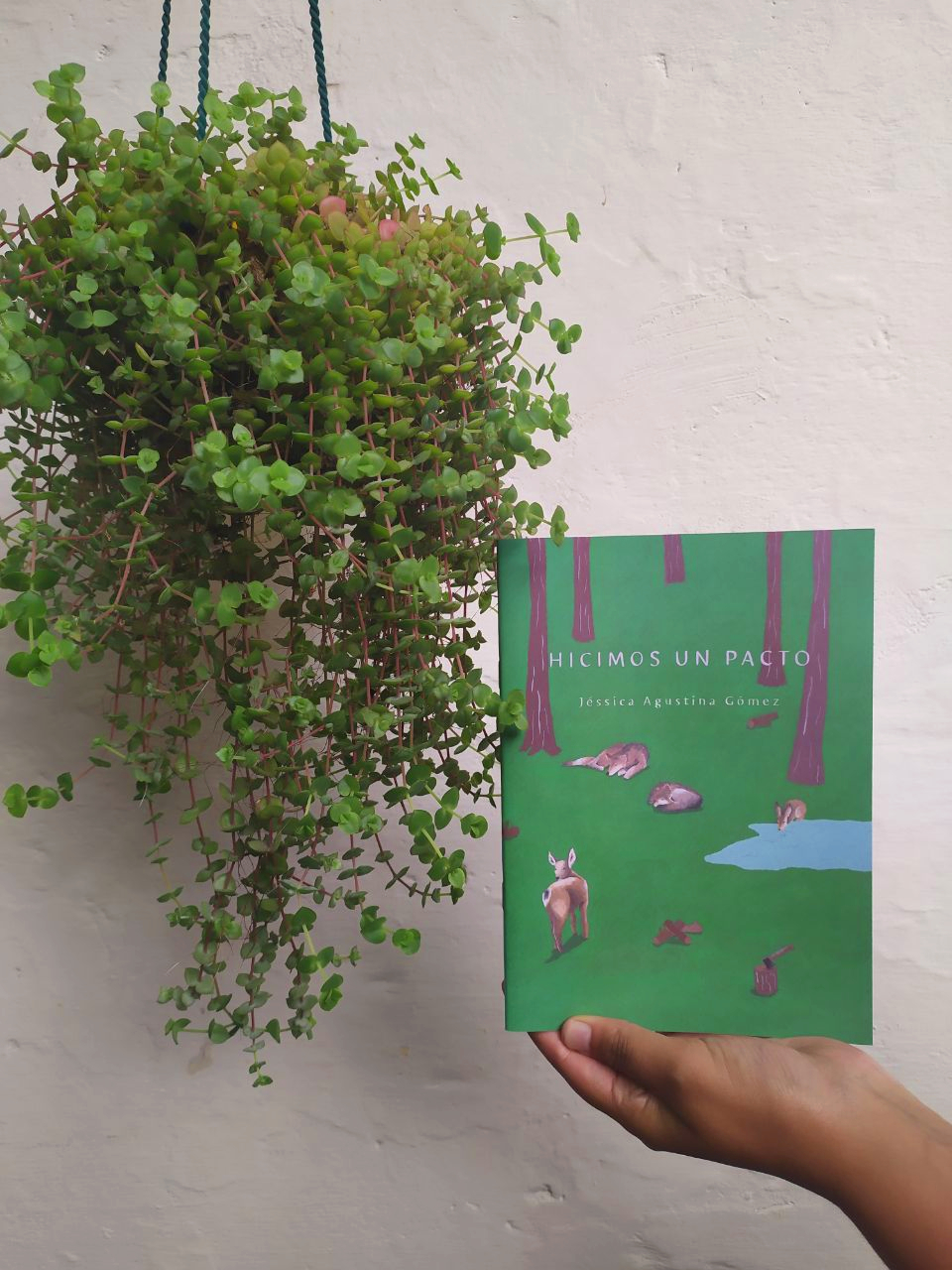 photo5118500217170274441_